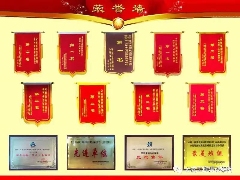 大成集团广吉高速公路项目荣获国家优质工程奖(图4)