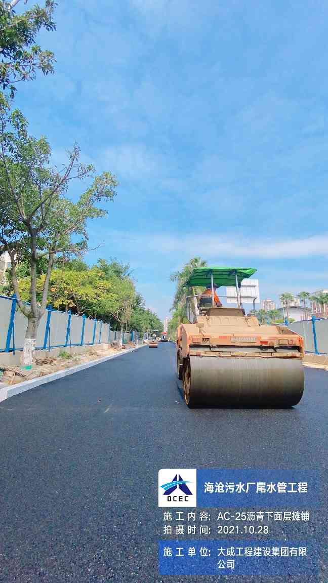 大成集团150天劳动竞赛圆满收官 多项目获突破性进展(图15)