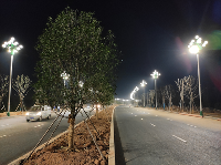 劳动竞赛激发建设热潮，项目团队攻坚克难显成效