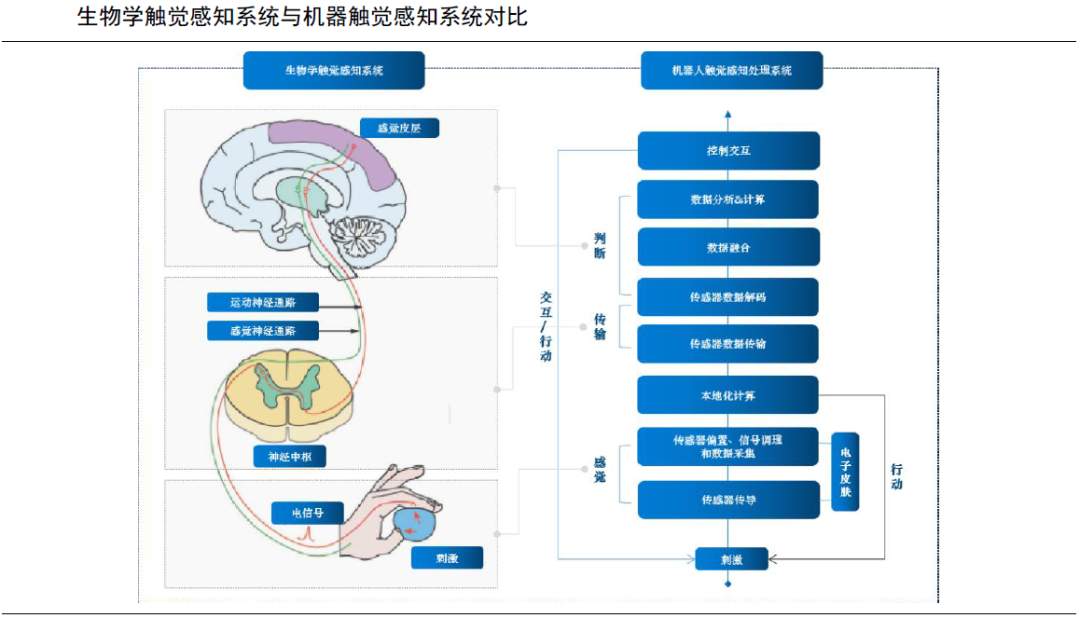 电子皮肤技术壁垒解析：材料 制造 算法关键难点(图2)