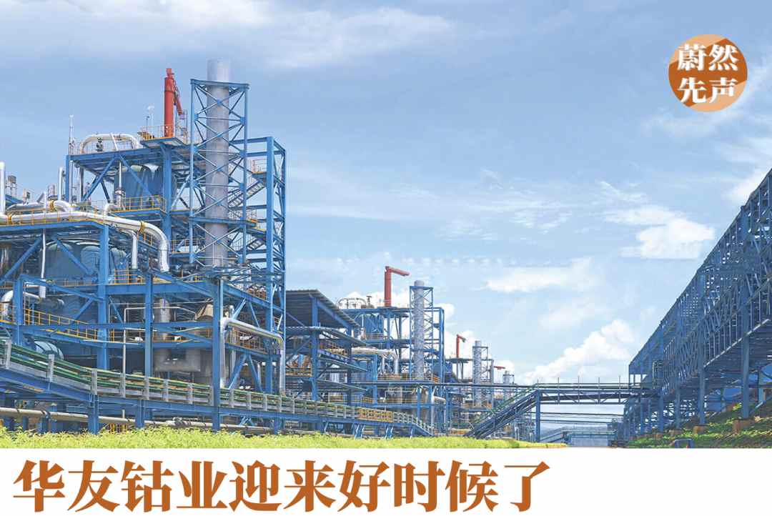 有色金属周期回暖 钴业战略布局显成效(图1)