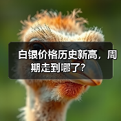 白银价格历史新高,周期走到哪了?(图2) 白银价格历史新高,周期走到哪了?(图2)