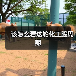 该怎么看这轮化工股周期(图1) 该怎么看这轮化工股周期(图1)