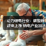 动力锂电行业：碳酸锂迎来上涨 钠电产业加速落地（图4）