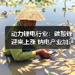 动力锂电行业：碳酸锂迎来上涨 钠电产业加速落地（图1）