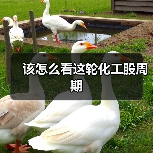 该怎么看这轮化工股周期(图4) 该怎么看这轮化工股周期(图4)
