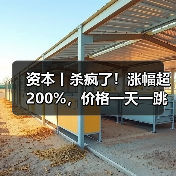 资本丨杀疯了!涨幅超200%,价格一天一跳,拐点在哪?(图2) 资本丨杀疯了!涨幅超200%,价格一天一跳,拐点在哪?(图2)
