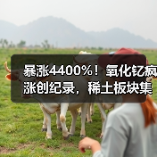 暴涨4400%！氧化钇疯涨创纪录，稀土板块集体躁动（图3）