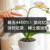 暴涨4400%！氧化钇疯涨创纪录，稀土板块集体躁动（图4）
