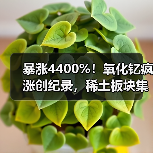 暴涨4400%！氧化钇疯涨创纪录，稀土板块集体躁动（图1）