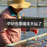中铝也是迎来大运了（图4）