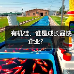 有机硅，谁是成长最快企业？（图4）
