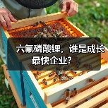 六氟磷酸锂,谁是成长最快企业?(图2) 六氟磷酸锂,谁是成长最快企业?(图2)