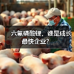 六氟磷酸锂,谁是成长最快企业?(图4) 六氟磷酸锂,谁是成长最快企业?(图4)