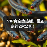 VIP真空绝热板,最正宗的2家公司!(图4) VIP真空绝热板,最正宗的2家公司!(图4)