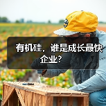有机硅，谁是成长最快企业？（图1）