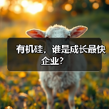 有机硅，谁是成长最快企业？（图3）