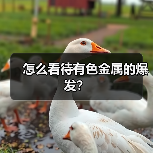 怎么看待有色金属的爆发？（图3）