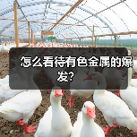 怎么看待有色金属的爆发？（图2）