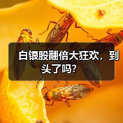 白银股翻倍大狂欢,到头了吗?(图3) 白银股翻倍大狂欢,到头了吗?(图3)