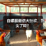 白银股翻倍大狂欢,到头了吗?(图2) 白银股翻倍大狂欢,到头了吗?(图2)
