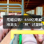 周期反转！650亿电解液龙头，“熬”过至暗时刻（图3）