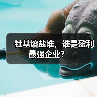 钍基熔盐堆，谁是盈利最强企业？（图4）