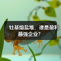 钍基熔盐堆，谁是盈利最强企业？（图3）