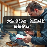 六氟磷酸锂,谁是成长最快企业?(图1) 六氟磷酸锂,谁是成长最快企业?(图1)