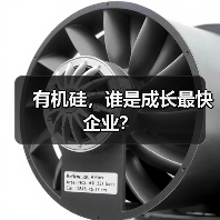 有机硅，谁是成长最快企业？（图2）