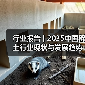 行业报告 | 2025中国稀土行业现状与发展趋势报告（图3）