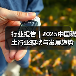 行业报告 | 2025中国稀土行业现状与发展趋势报告（图4）