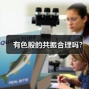 有色股的共振合理吗?(图4) 有色股的共振合理吗?(图4)
