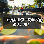 谁是钴业又一轮爆发的最大赢家?(图3) 谁是钴业又一轮爆发的最大赢家?(图3)