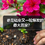 谁是钴业又一轮爆发的最大赢家?(图1) 谁是钴业又一轮爆发的最大赢家?(图1)