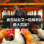 谁是钴业又一轮爆发的最大赢家?(图4) 谁是钴业又一轮爆发的最大赢家?(图4)
