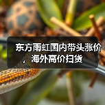 东方雨虹国内带头涨价,海外高价扫货(图2) 东方雨虹国内带头涨价,海外高价扫货(图2)