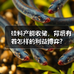硅料产能收储,背后有着怎样的利益博弈?(图1) 硅料产能收储,背后有着怎样的利益博弈?(图1)