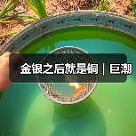金银之后就是铜|巨潮(图1) 金银之后就是铜|巨潮(图1)