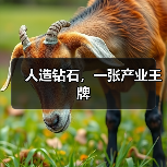 人造钻石，一张产业王牌（图4）