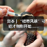 资本 | “钴市风暴”可能才刚刚开始……（图2）