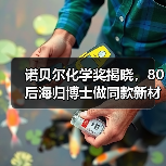诺贝尔化学奖揭晓,80后海归博士做同款新材料:融资千万,打破巨头垄断(图1) 诺贝尔化学奖揭晓,80后海归博士做同款新材料:融资千万,打破巨头垄断(图1)