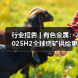 行业报告 | 有色金属:2025H2全球铜矿供给更为紧俏(图2) 行业报告 | 有色金属:2025H2全球铜矿供给更为紧俏(图2)