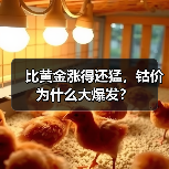 比黄金涨得还猛,钴价为什么大爆发?(图1) 比黄金涨得还猛,钴价为什么大爆发?(图1)