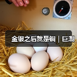 金银之后就是铜|巨潮(图2) 金银之后就是铜|巨潮(图2)