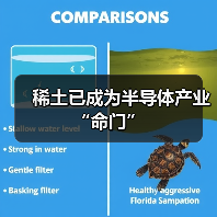 稀土已成为半导体产业“命门”（图4）