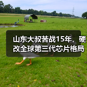 山东大叔苦战15年,硬改全球第三代芯片格局(图4) 山东大叔苦战15年,硬改全球第三代芯片格局(图4)