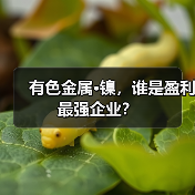 有色金属·镍，谁是盈利最强企业？（图1）