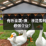 有色金属·镍，谁是盈利最强企业？（图4）