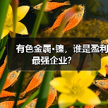 有色金属·镍，谁是盈利最强企业？（图2）